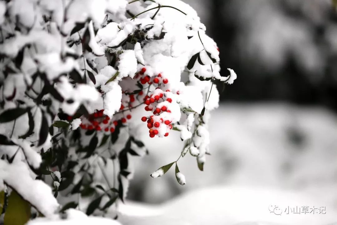 滴滴出行即将赴港IPO?内部人士回应“并无太多可能”“MK电竞”(图3) MK电竞