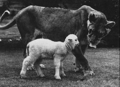 “MK电竞”银保监会发财险、再保险公司改革方案 64家险企被列属地监管公司(图3) MK电竞