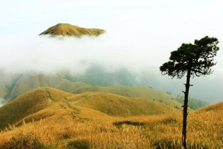 ‘MK电竞’粤开证券李奇霖:经济恢复好于多数人预期(图1) MK电竞