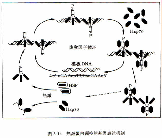 MK电竞